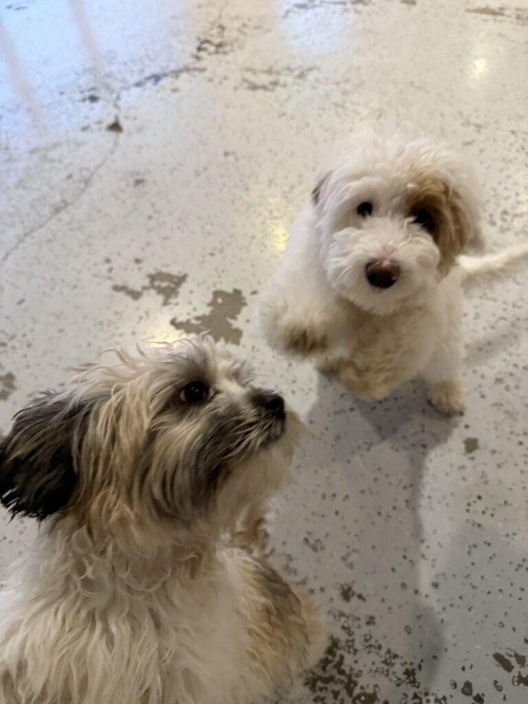 Read more about the article The cutest!
