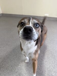 Read more about the article – Lucy – The prettiest eyes